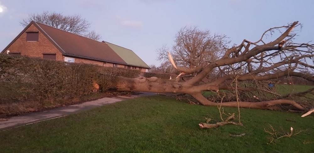 GALE FORCE